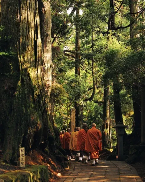Monks heading to the temple in Kōya-san, Japan