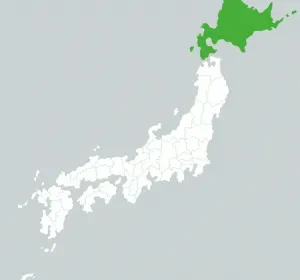 Les Pass Hokkaido vous permettront de voyager en illimité dans l'île sauvage du Nord